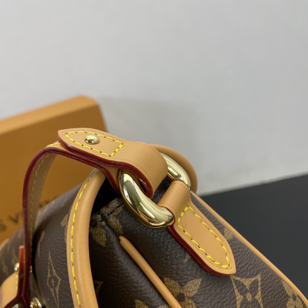 Louis Vuitton Satchel Bags